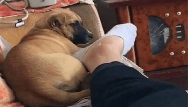 �޹���·�ϣ�С�����ϻ�ͷ�����ˣ���ʲô��˼