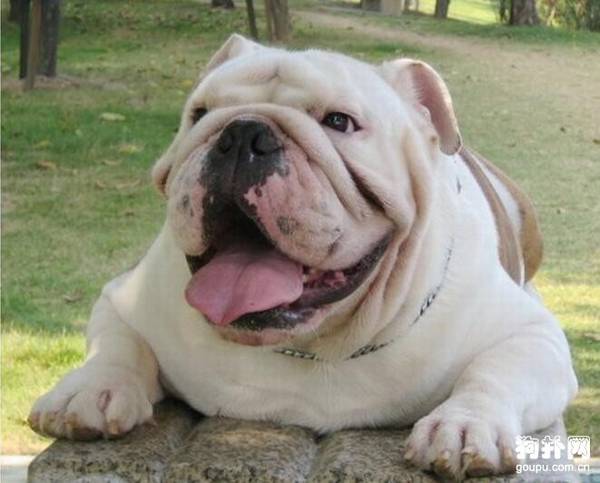 ���������ʮ����֪Сϰ��