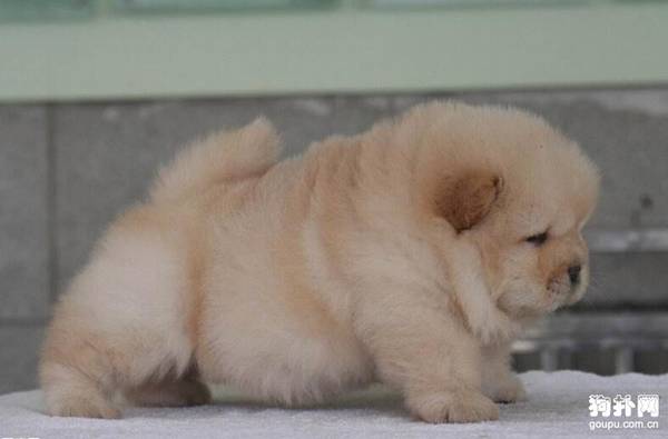 ĸȮ��ˮ���������Ȯû�̺���ô�죿