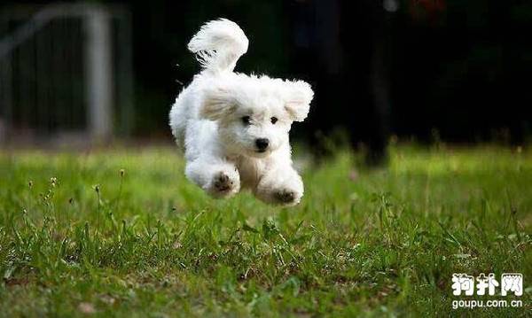 ���ι����Ȯ��3��ʱ�ڲ�ͬ��ι����ʽ��