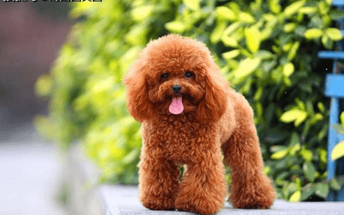 ̩��55���ɶ��̩�ϲ�����³�ɶ