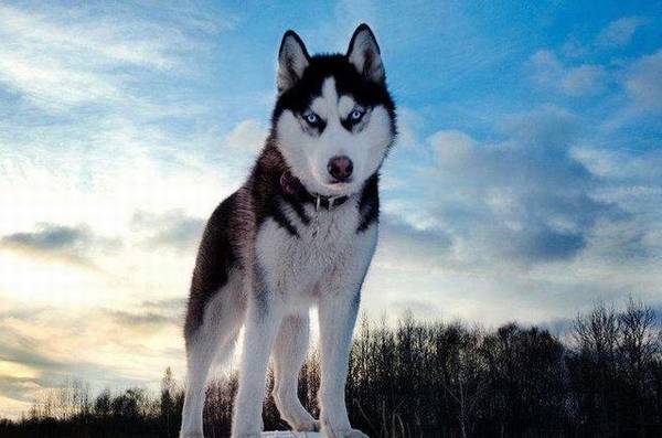 ��5�ֹ��������·������˷�����̫�ã����������û�У�