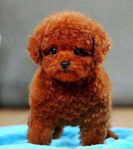 ��5�ֹ��������·������˷�����̫�ã����������û�У�