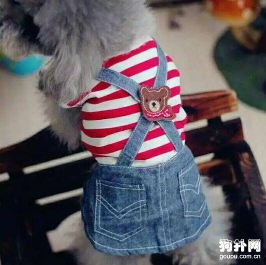 �����·����������вü�ʱ����Щע�����