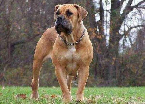����ʮ����Ȯ���а�
