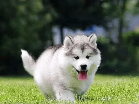 Ϊ�δ���������������������������ʲô�ŵ��أ�