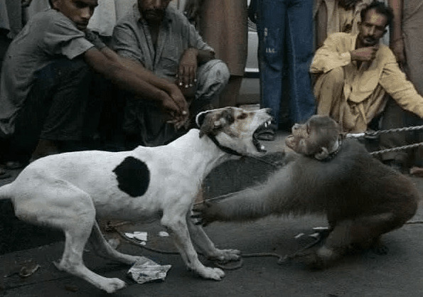 ������Ƿ�С�������Ҿ�����������ǰ�;�����һ���
