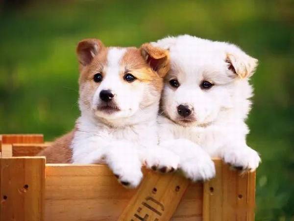 ��������ĸ���İ˴����������������Ҫ���ǣ�֮���õ���