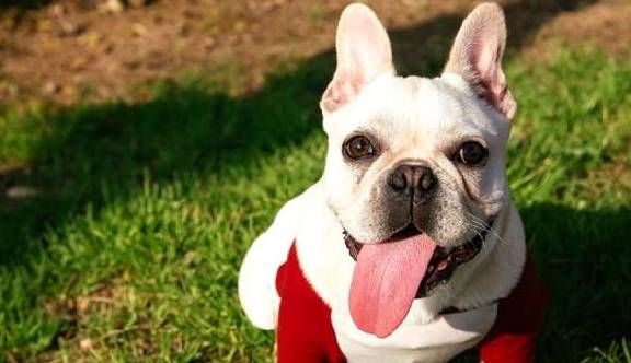 4������ʿ��һ�Ժ�������ˣ����պ�һ�ֹ⿴���;���������İ��