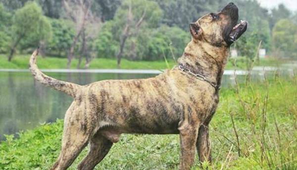 4����׺����ĵ������ˣ���������Ȯ��ѡ����һ�ֱ����������