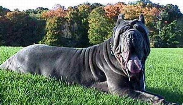 4����׺����ĵ������ˣ���������Ȯ��ѡ����һ�ֱ����������