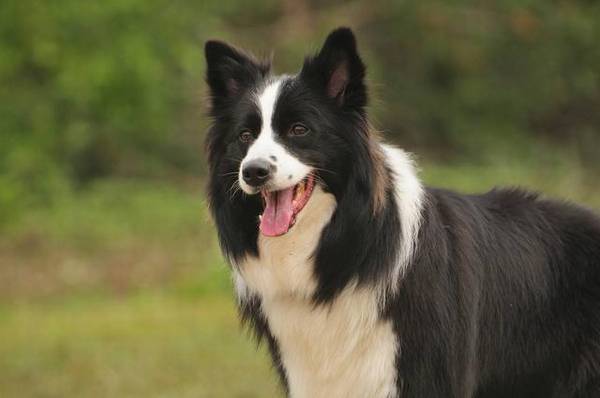 ������������ǰʮ����ëֻ���ŵ���