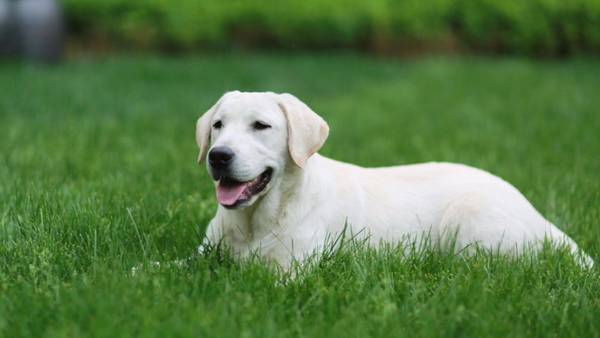 ������������ǰʮ����ëֻ���ŵ���