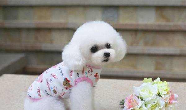 �豭Ȯ������ǧ�����ǲ豭Ȯ����ô���ģ����˺�֪����