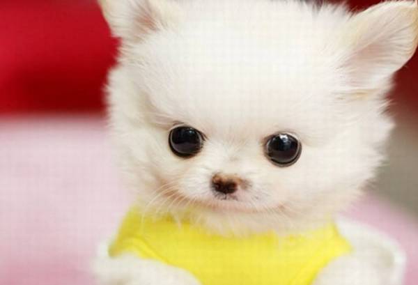 �豭Ȯ������ǧ�����ǲ豭Ȯ����ô���ģ����˺�֪����