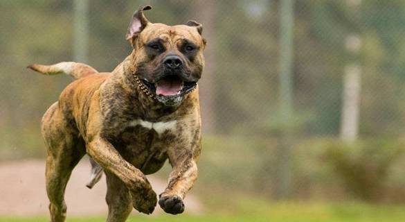 ��ù�����Ȯ�����ֹ�����������ѡ�������ֻ��ܲ���ֻ�������