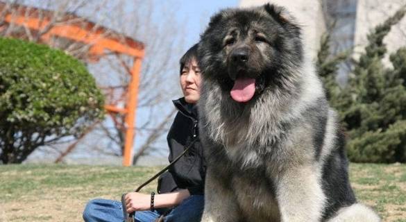 ��ù�����Ȯ�����ֹ�����������ѡ�������ֻ��ܲ���ֻ�������