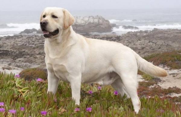 ����Ȯ����Щ���ʺϼ�����7�ִ���Ȯ����