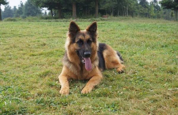 ����Ȯ����Щ���ʺϼ�����7�ִ���Ȯ����