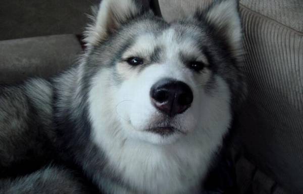 ����Ȯ����Щ���ʺϼ�����7�ִ���Ȯ����