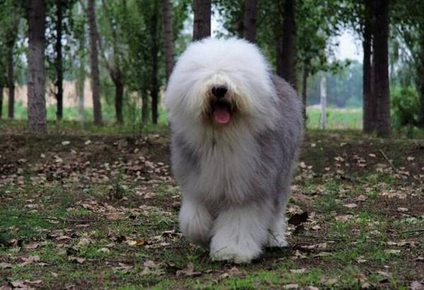 ����Ȯ����Щ���ʺϼ�����7�ִ���Ȯ����