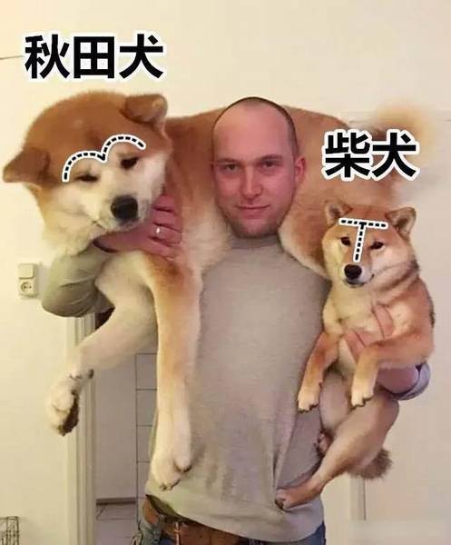 ����ж�����Ȯ�Ͳ�Ȯ��5��С���ţ������������ɼ���