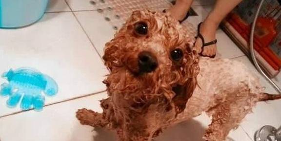 ̩�ϵ�������4��������������Խ����Խ�ã������쿴��һ�°ɣ�
