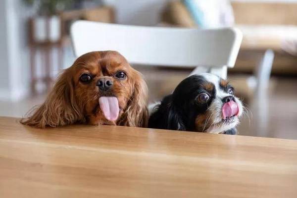 ��������˺�ң����������ҧ��������Ҳ����ʳ���