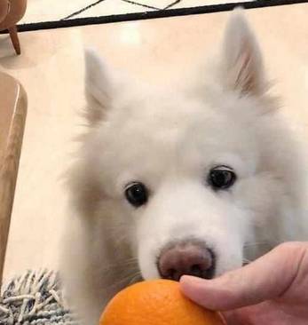 ��ö��ι��������Ϊ������ĦҮ���ԣ�����Ӱ��ܸ�