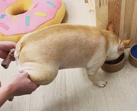 ��ҥ��������ʳ��С��ߣ�ʵ���ϲ�������һ�ٴ���ܻ���ģ�