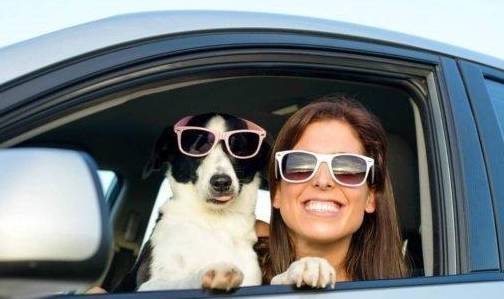 ����ϲ���ڳ���������˵Ĵ��Ĵ��⣬���п�����ɹ�������