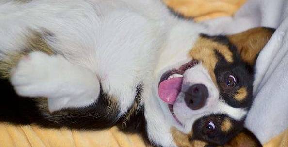����¶���ӽ���������ʵ�������˽ⲻ��