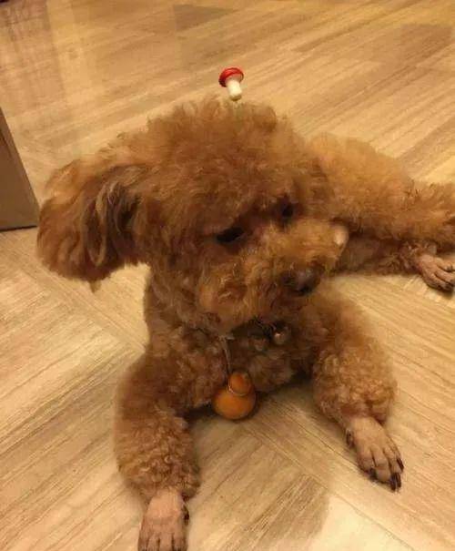 ̩����5�����ߡ����������ˣ����п�������ҧ��