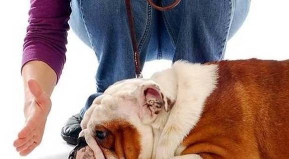 �ͷ�����ʱ�����ܷ���5��ɻ䣬��һ��������һ���ӣ�