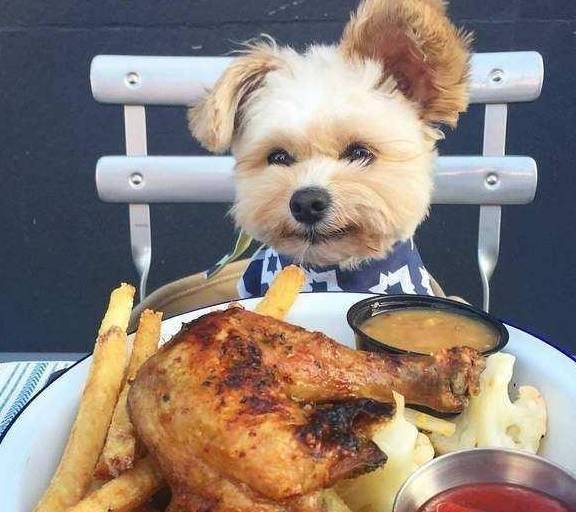 ���ҽ̺á��Ĺ�������С�ͻ�����5����Ҫ���֣����Ǽҹ�����û��