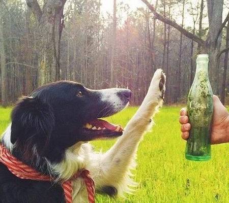���ҽ̺á��Ĺ�������С�ͻ�����5����Ҫ���֣����Ǽҹ�����û��