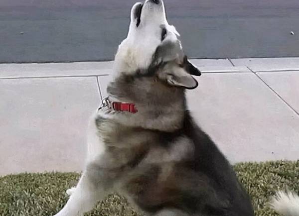 ��֪����ͬ�����ĺ����˽���٣�