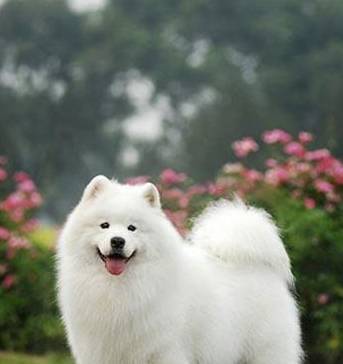 ��ĦҮ����ۻ���ֵ����Щ��Ϸ�ǳ���Ч���Թ���֪���ˣ�