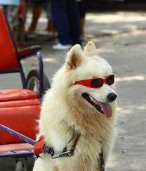 ��ĦҮ����ۻ���ֵ����Щ��Ϸ�ǳ���Ч���Թ���֪���ˣ�