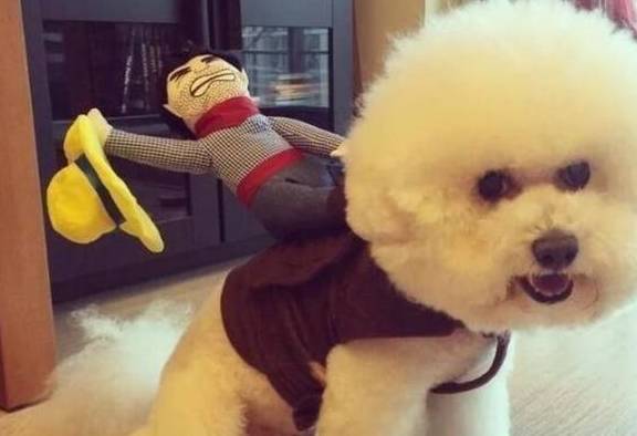 ����ë�������ࣿѧ��5�У�����ë�����ÿ���