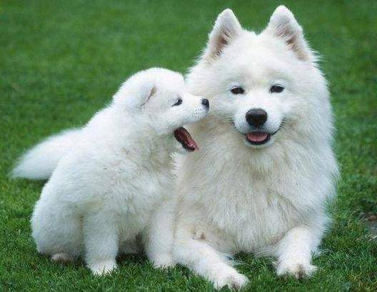 ���쵽�ˣ���ʺ�ٵ��׸ò��ø����κ��ӣ�