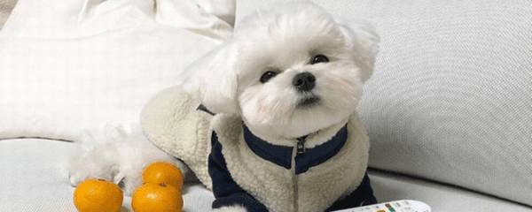 ��ë�ܳ���ã�������ë��᲻��Ӧ��