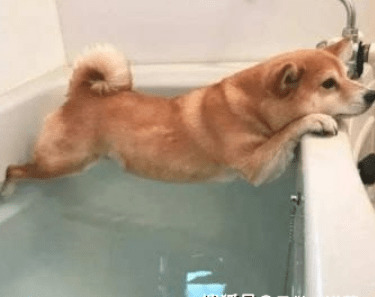 ����ȳ赽����Ӧ���ϴһ���裿��ʺ�ٲ��ɻ�ȱ