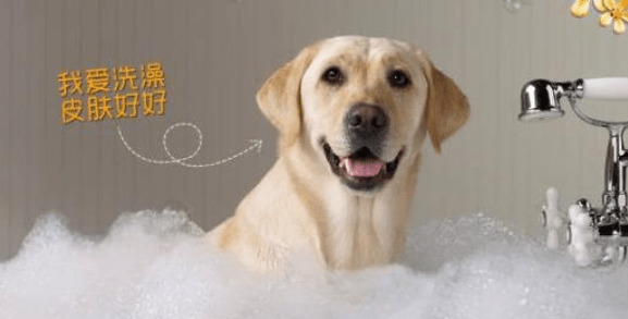 ����ȳ赽����Ӧ���ϴһ���裿��ʺ�ٲ��ɻ�ȱ