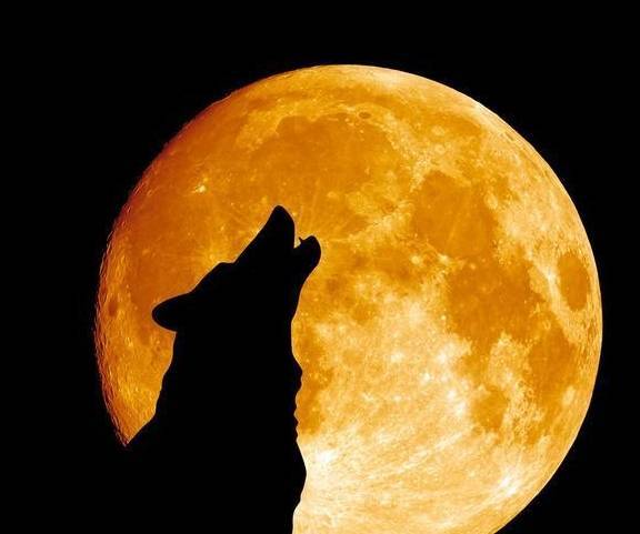 ��ͻȻѧ�ǽе����ԭ��Ҳ�����ڰ�ʾ��һЩ����