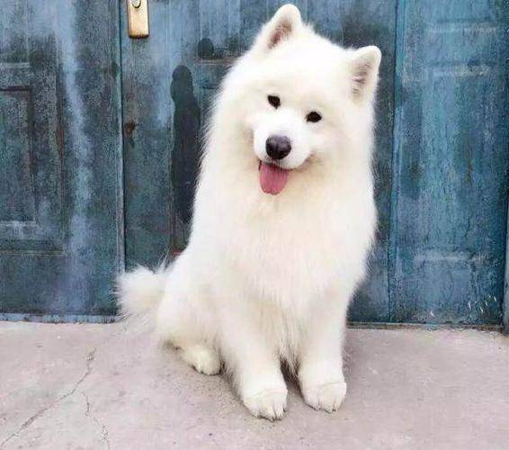 ����һ���ڴ��﷢����