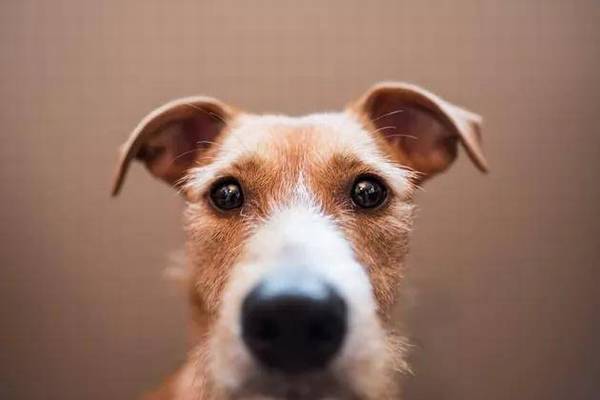 ���¹���ʧ����Ե�ʣ�������Ҫ����