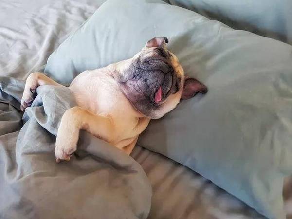�����������ڴ����ϲ���������ô�����