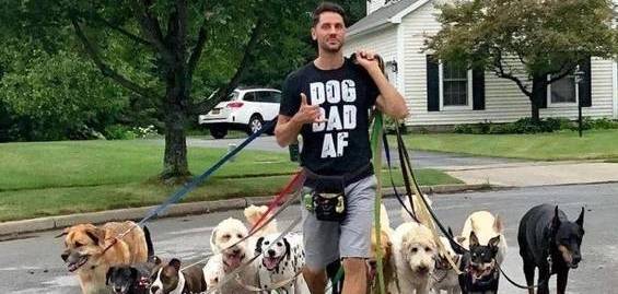 �����޹��ļɻ䣬�����Թ���������ͬ�����̡���