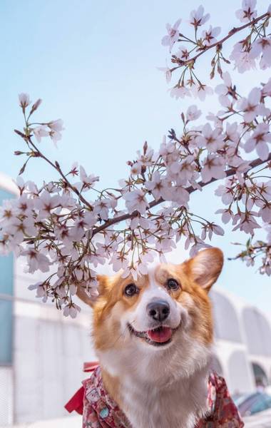 ���˽��ù���ͷ����ҫ��������ɶ��